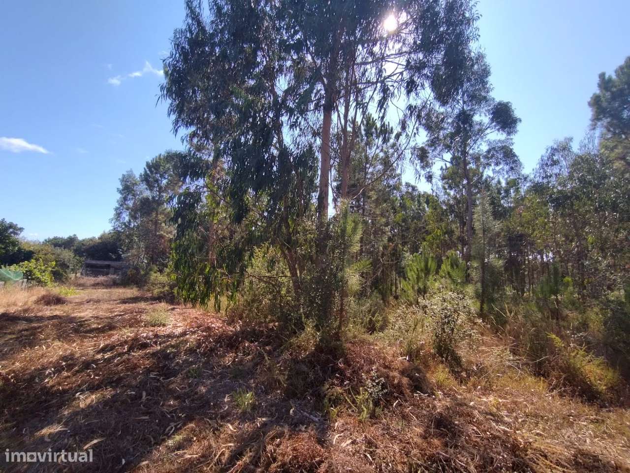 Terreno / Construção / Casalinho / Soure / Coimbra - Grande imagem: 5/8