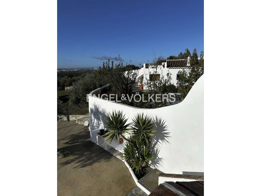 Quinta de Turismo em Carapatello no Alentejo - Grande imagem: 4/45