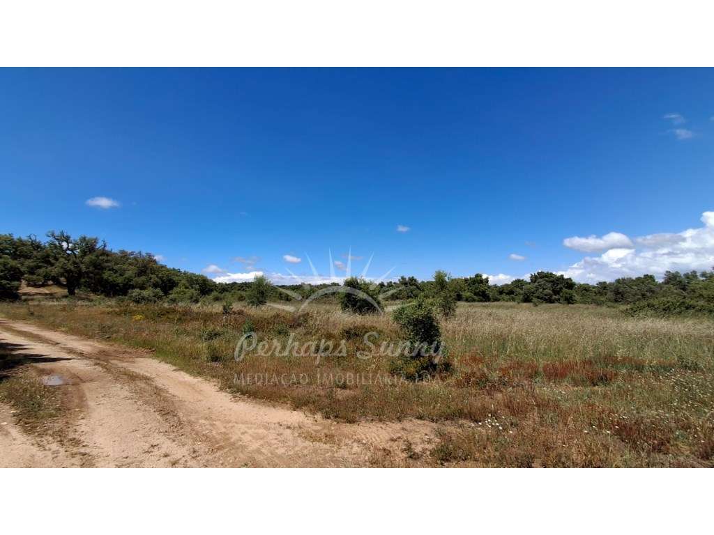 Terreno Serra de Grândola-11