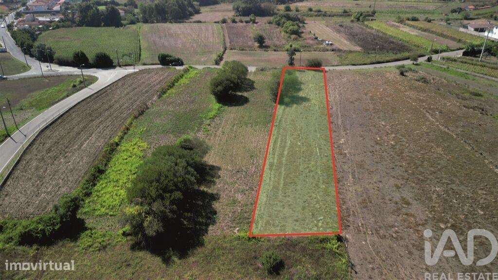 Terreno Agrícola em Cacia - Grande imagem: 2/7