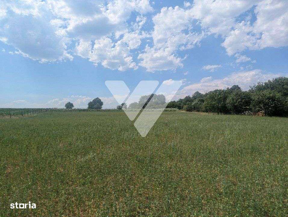 Teren intravilan 1670 mp cu vedere spre lacuri Ocna Sibiului - Imagine principală: 4/10