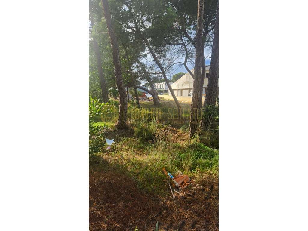 Terreno em Lagoa de Albufeira-13