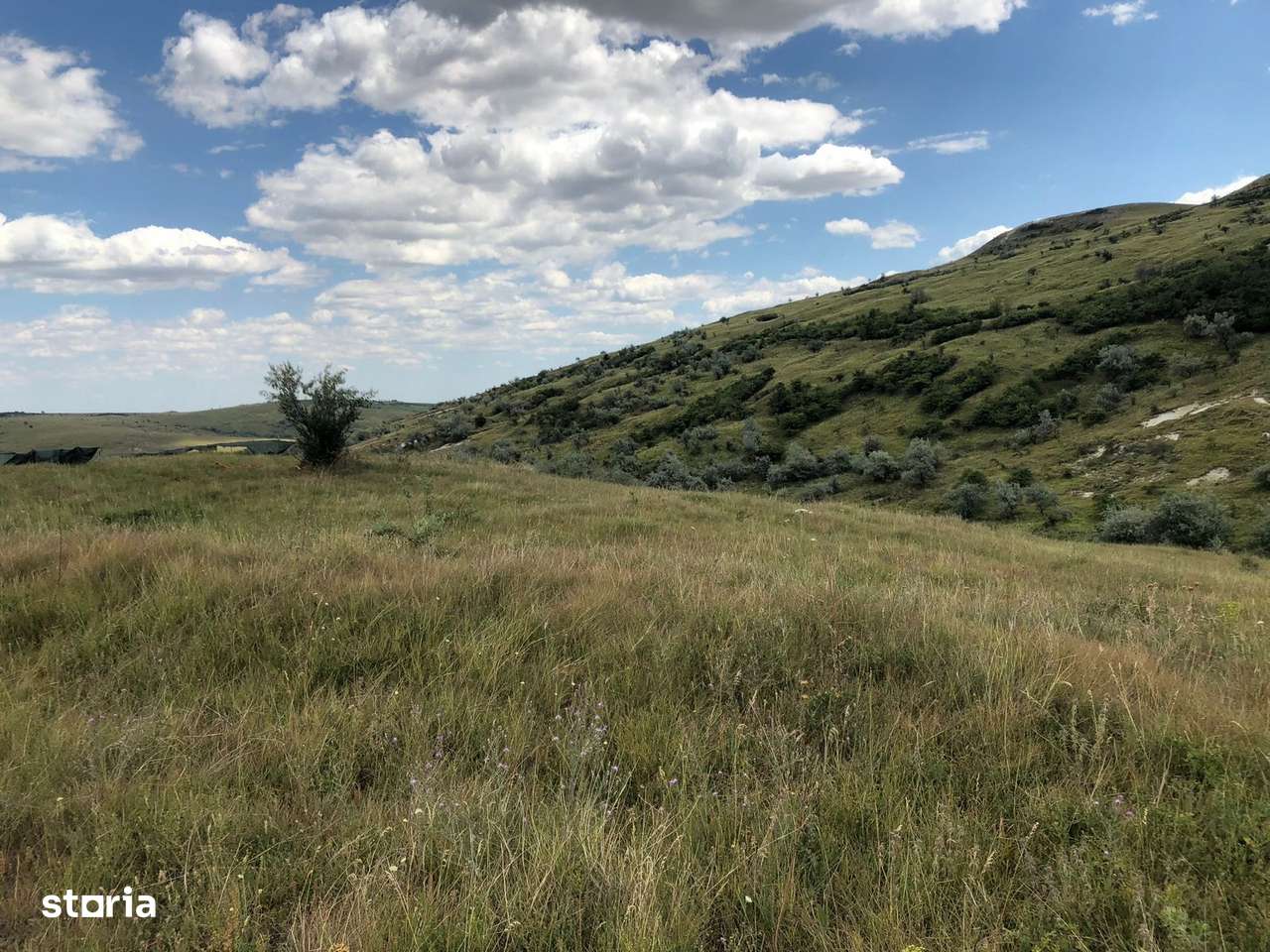 Vanzare 50 Ha pasune, judetul Prahova - Imagine principală: 2/14