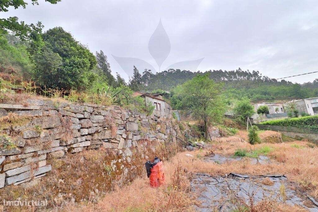 Quintinha em Escudeiros c/ aprox 3.200m2 e duas casas-5