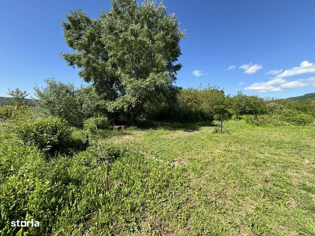 Teren Bujoreni Olteni-4