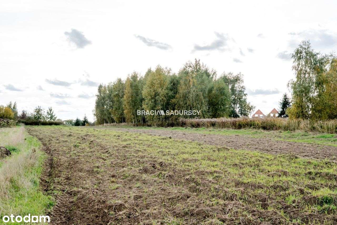 Działka budowlana / 25 ar / płaska / Cholerzyn - Pełny obrazek: 5/7