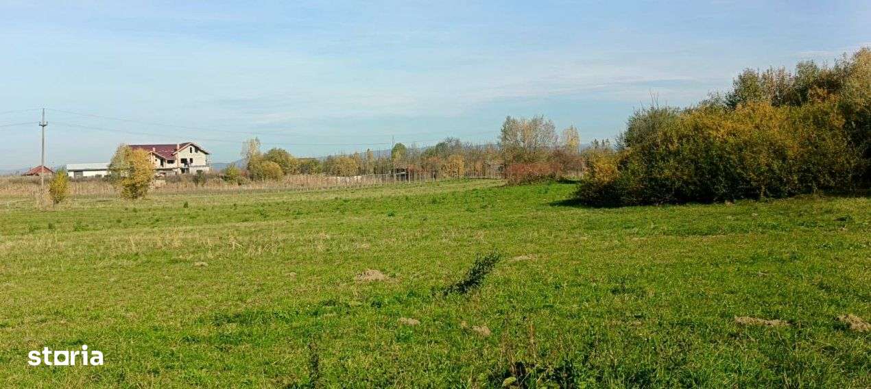 Teren cu PUZ in lucru langa ocolitoarea Mun Sacele-3