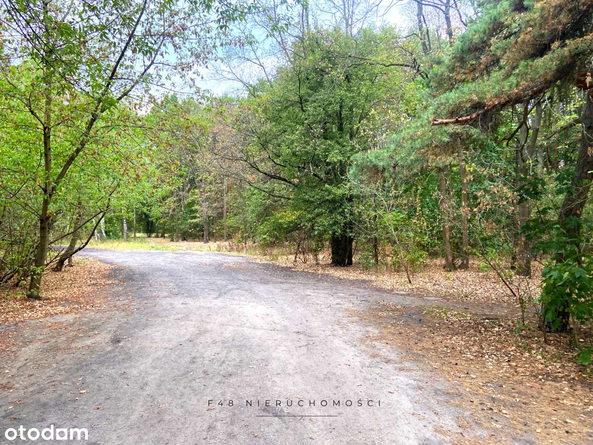 Mieszkanie z Potencjałem - 3 Pok. Przy Lesie i Pkp-6