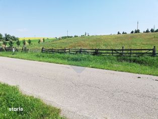 Teren Negrești (Dobreni) / Strada principala