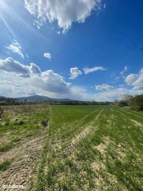 Działka 30arów - widok na Ślężę - 5 min od Sobótki - Pełny obrazek: 2/13