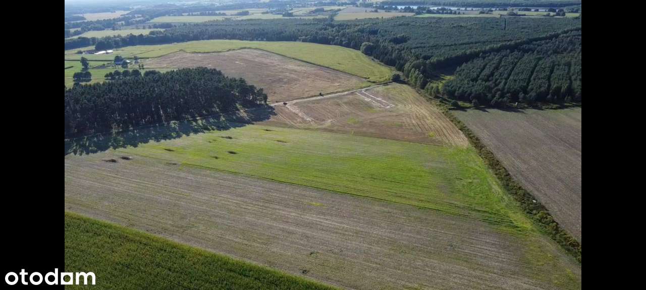 Działki budowlane w pięknej leśnej okolicy - Smolna - Pełny obrazek: 4/10