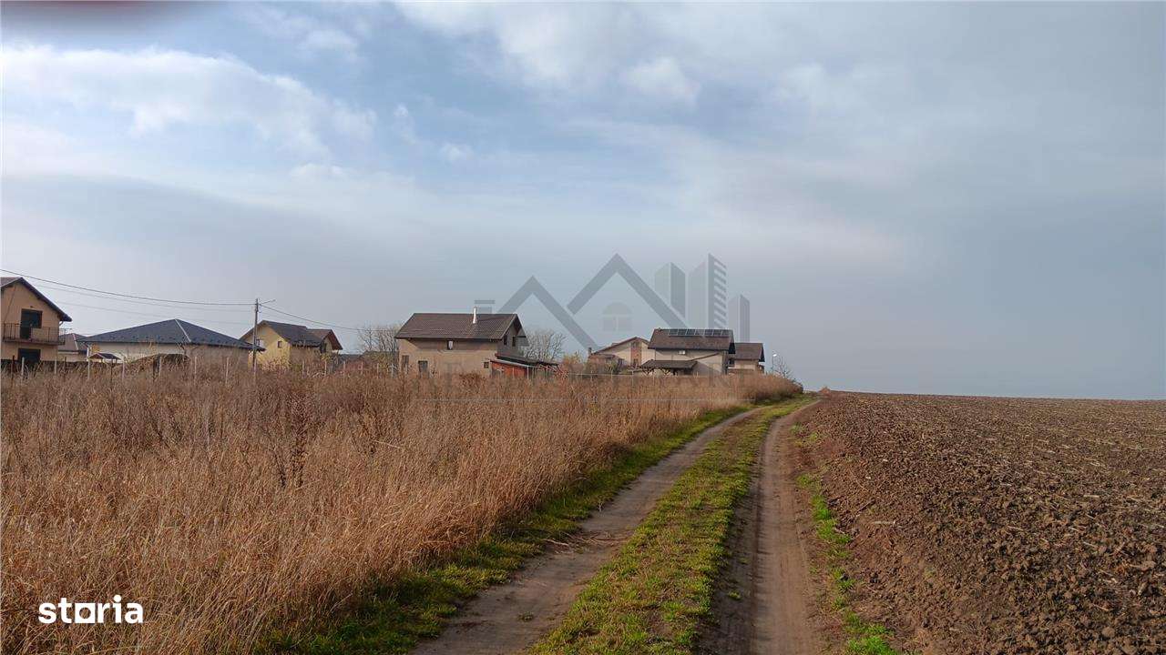 Aroneanu str Viisoarei TEREN 2 loturi x 650 mp. Intravilan cu utilitat - Imagine principală: 5/12