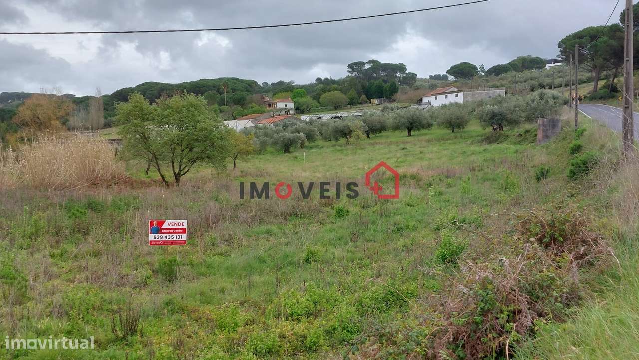 Terreno com 4.600m2 no Juncal - Grande imagem: 4/7