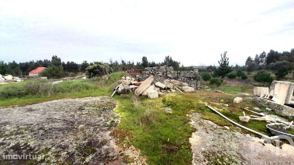 Terreno em Seixo da Beira de 16000,00 m2 - Grande imagem: 2/30