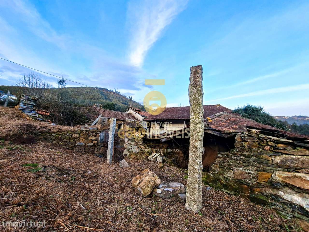 Quintinha T3 Venda em Santa Maria de Sardoura,Castelo de Paiva-15