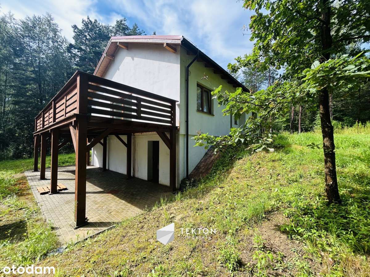 Nowy dom otulony lasem i jeziorami. Azyl - Pełny obrazek: 5/20