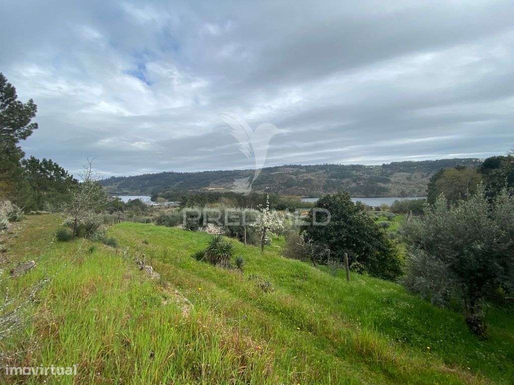 Vende Quinta com 5 hectares junto ao rio dão - Grande imagem: 5/8