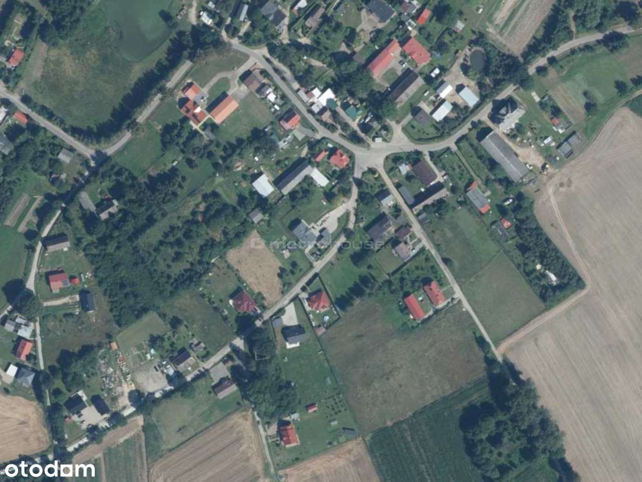 Działka pod Kołobrzegiem - Ołużna - Pełny obrazek: 4/11