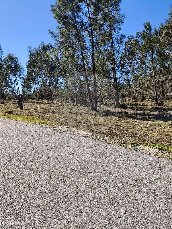 Terreno  para venda - Grande imagem: 4/4