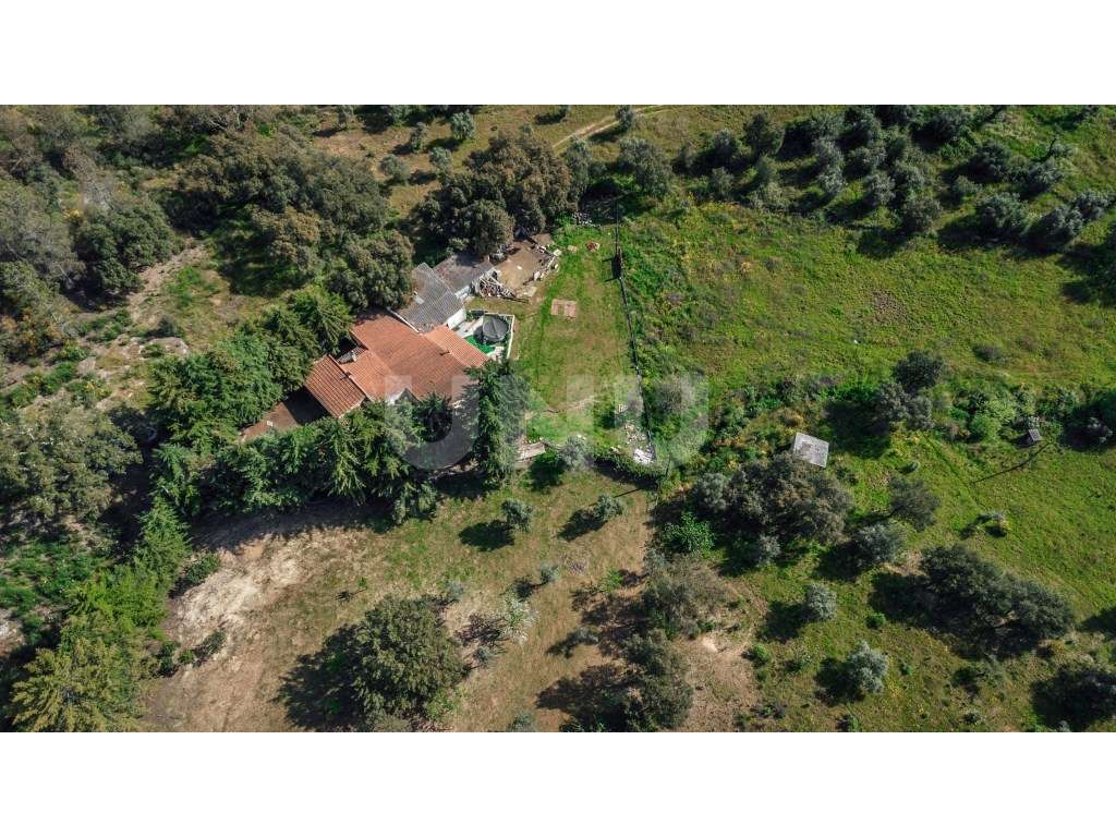 Quinta T3 com 14 630m2 de área - Grande imagem: 5/41