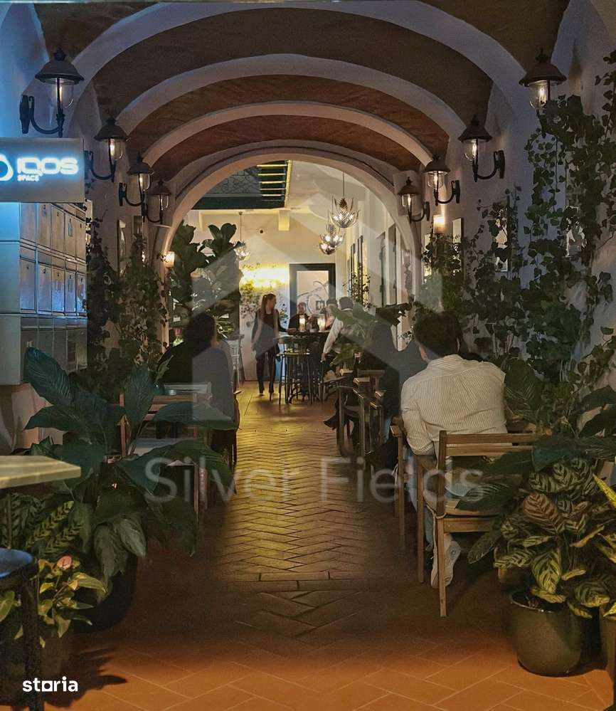 Se vinde sau închiriază Bar-Restaurant la cheie | Piata Unirii-13