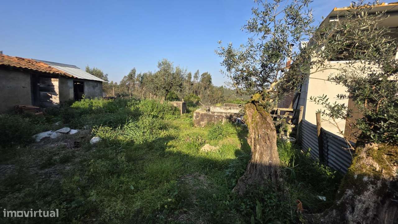 Moradia para restaurar, com terreno, perto de Ferreira do Zêzere-11