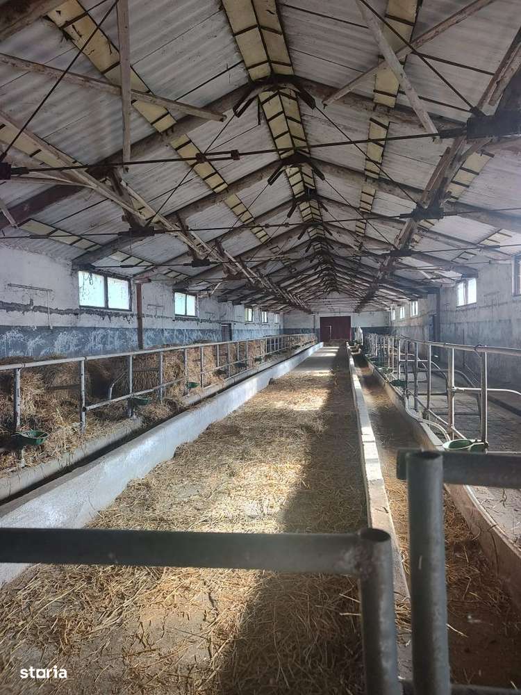 De vanzare grajduri in Barsau - Imagine principală: 4/18