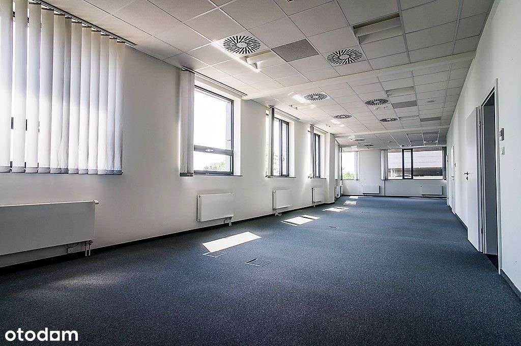 300 m2 Biuro Strzegomska + Parking - Pełny obrazek: 5/18