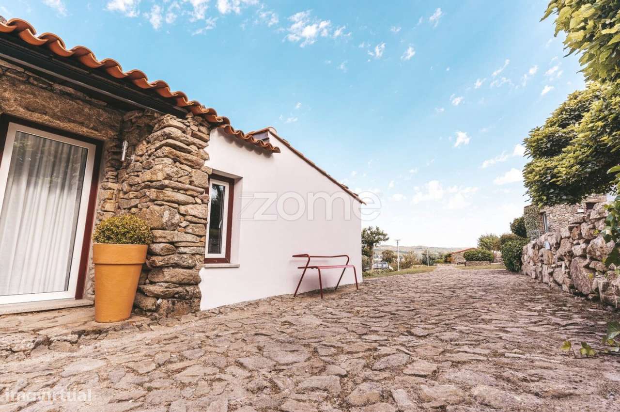 Quinta em Moimenta da Beira - um lugar ÚNICO - Turismo Rural ativo - Grande imagem: 3/20