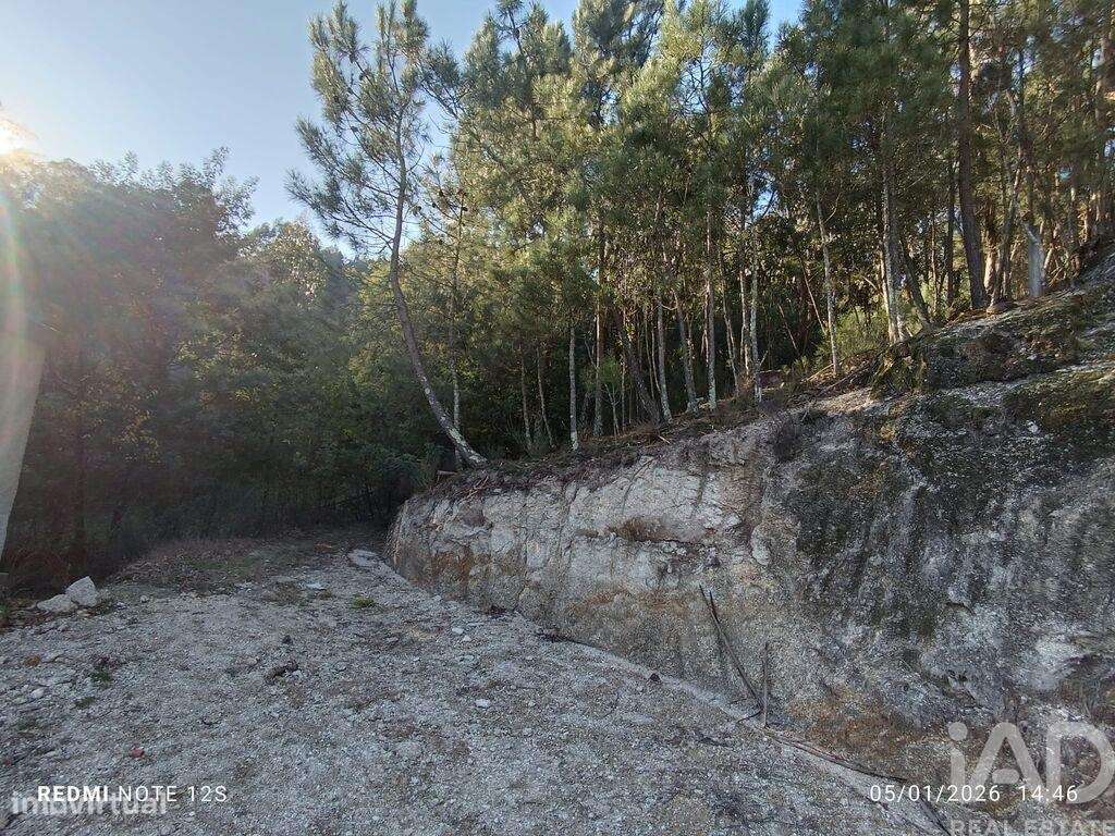 Terreno Agrícola em Paredes de Viadores e Manhuncelos - Grande imagem: 3/3