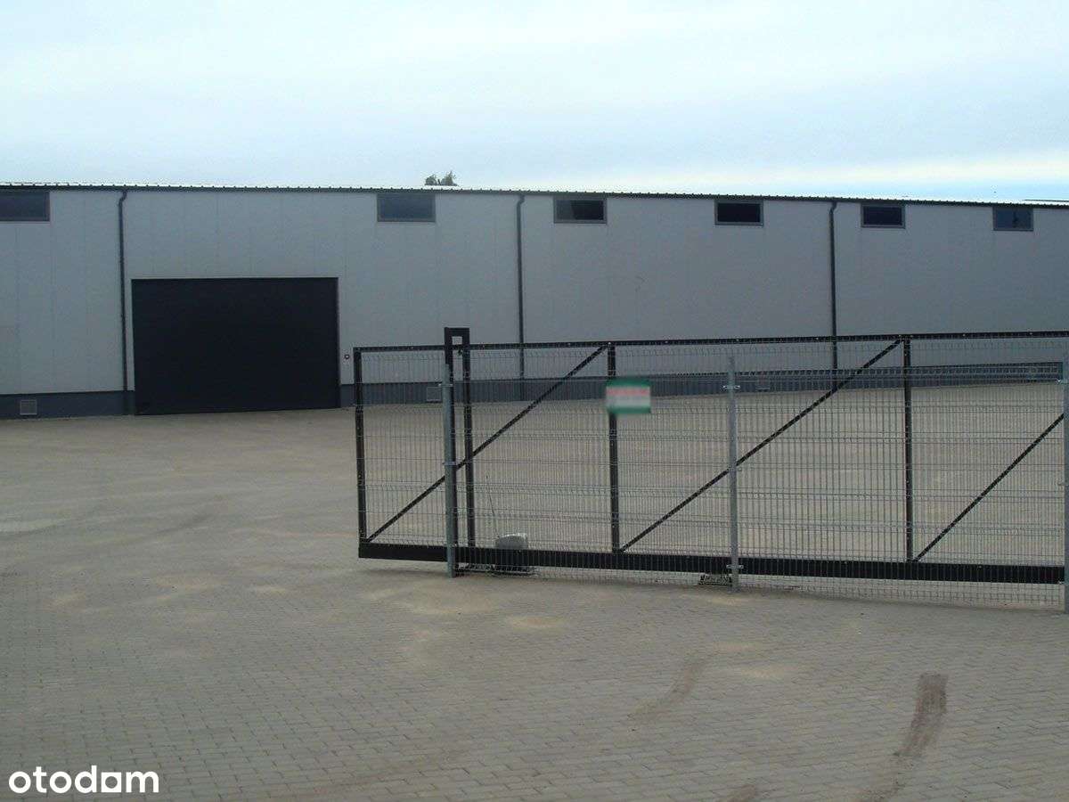 Hala magazynowo produkcyjna firma sprzeda Września-14