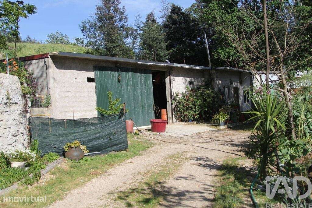 Terreno Agrícola em Oliveira do Hospital e São Paio de Gramaços-36