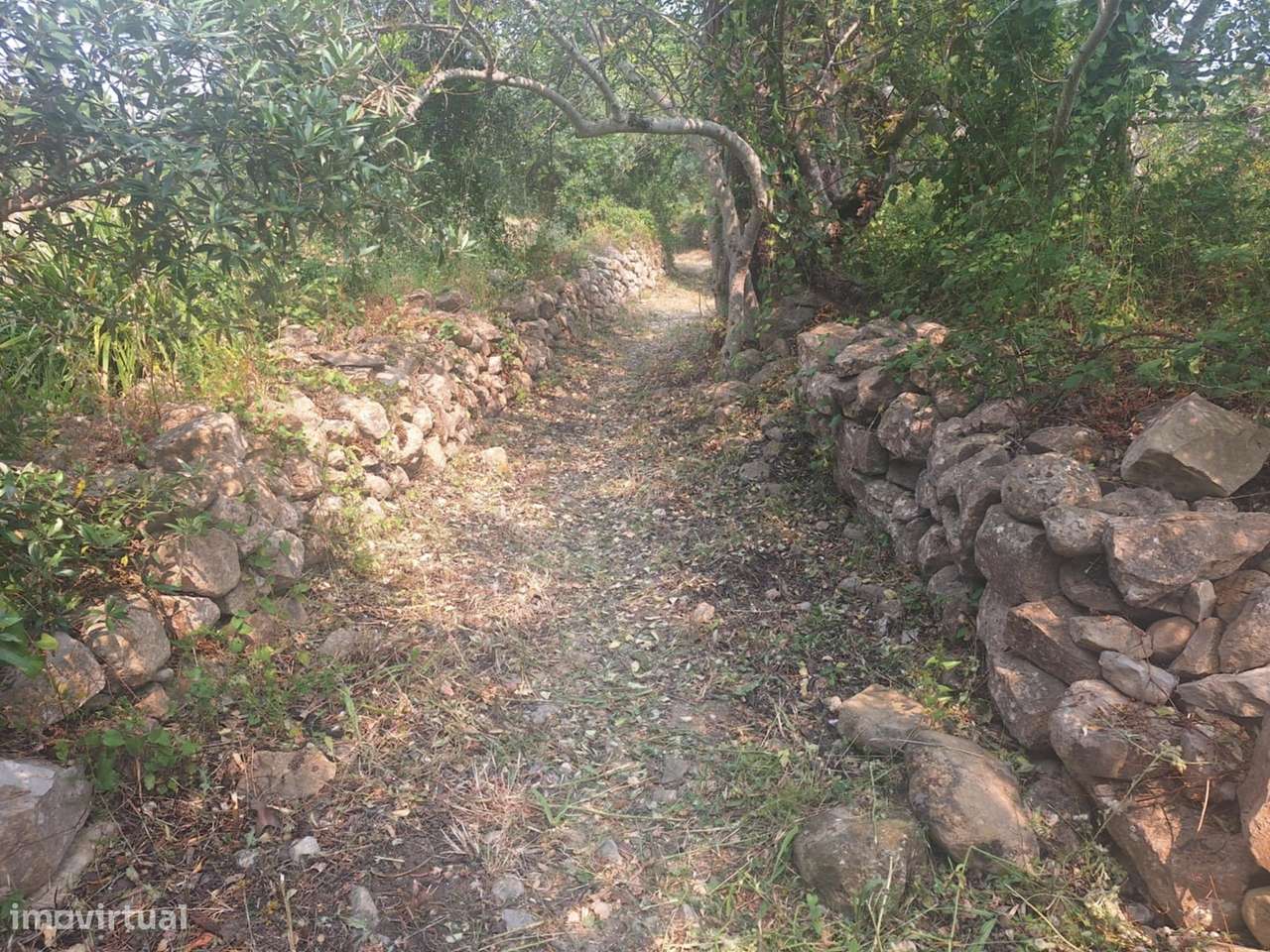 Terreno Rústico em Bordeira-9