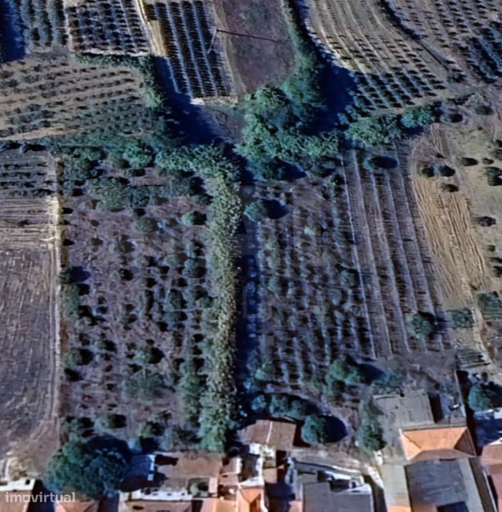 Terreno no centro da Usseira - Grande imagem: 4/5