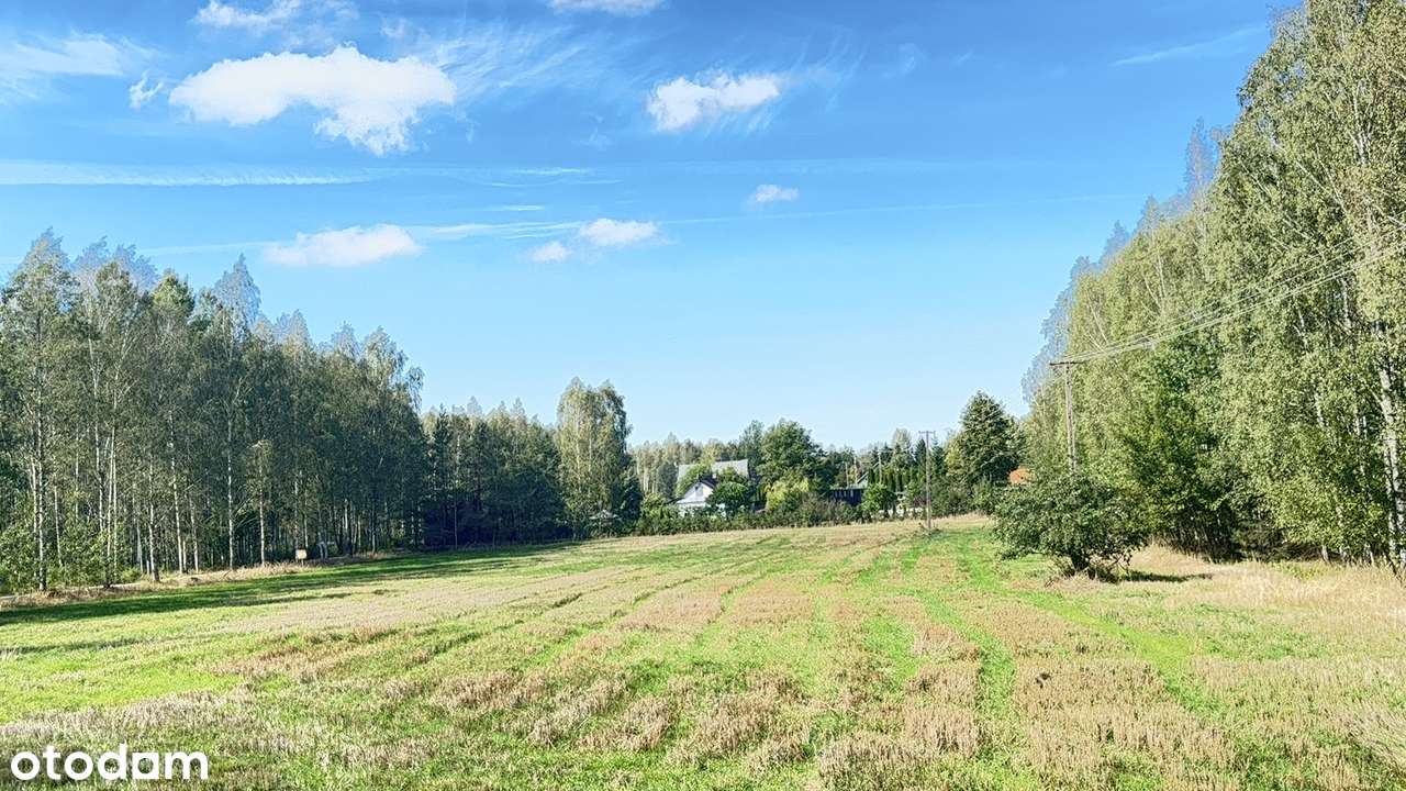 7 400 m² w sercu Podlasia – Twoja część natury w Dubinach! - Pełny obrazek: 5/10