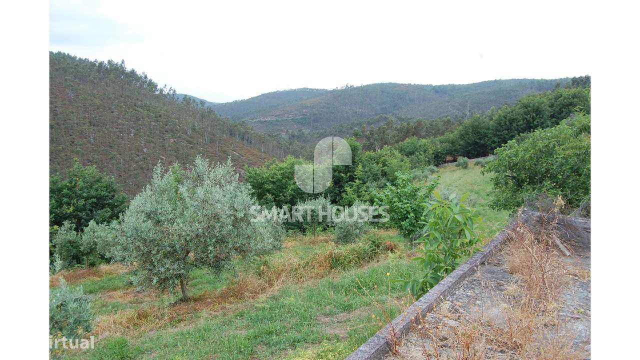 Moradia T2 Carapinha p/ recuperar-5