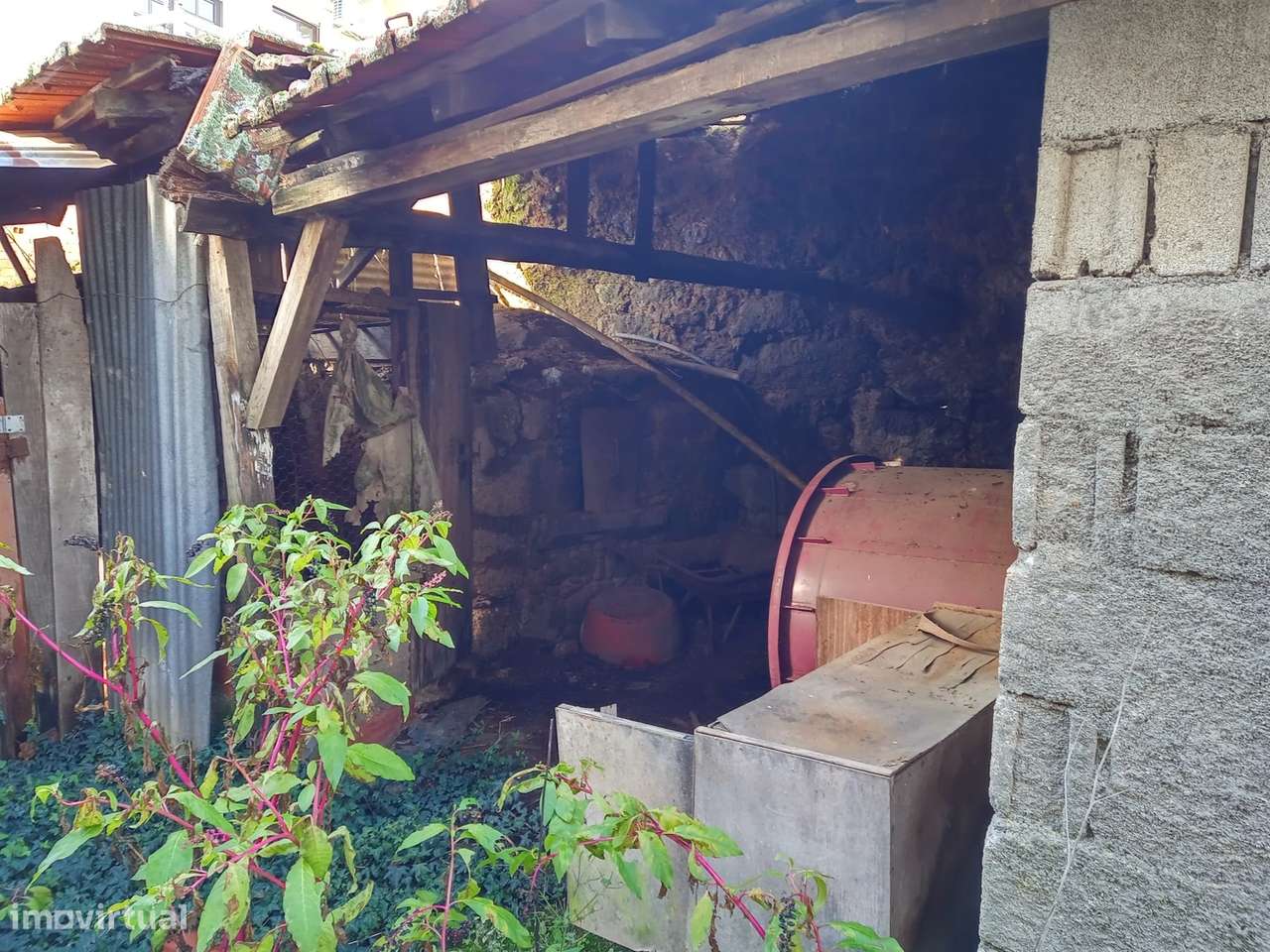 Moradia para recuperar em Rojão Grande, Santa Comba Dão - Grande imagem: 5/14