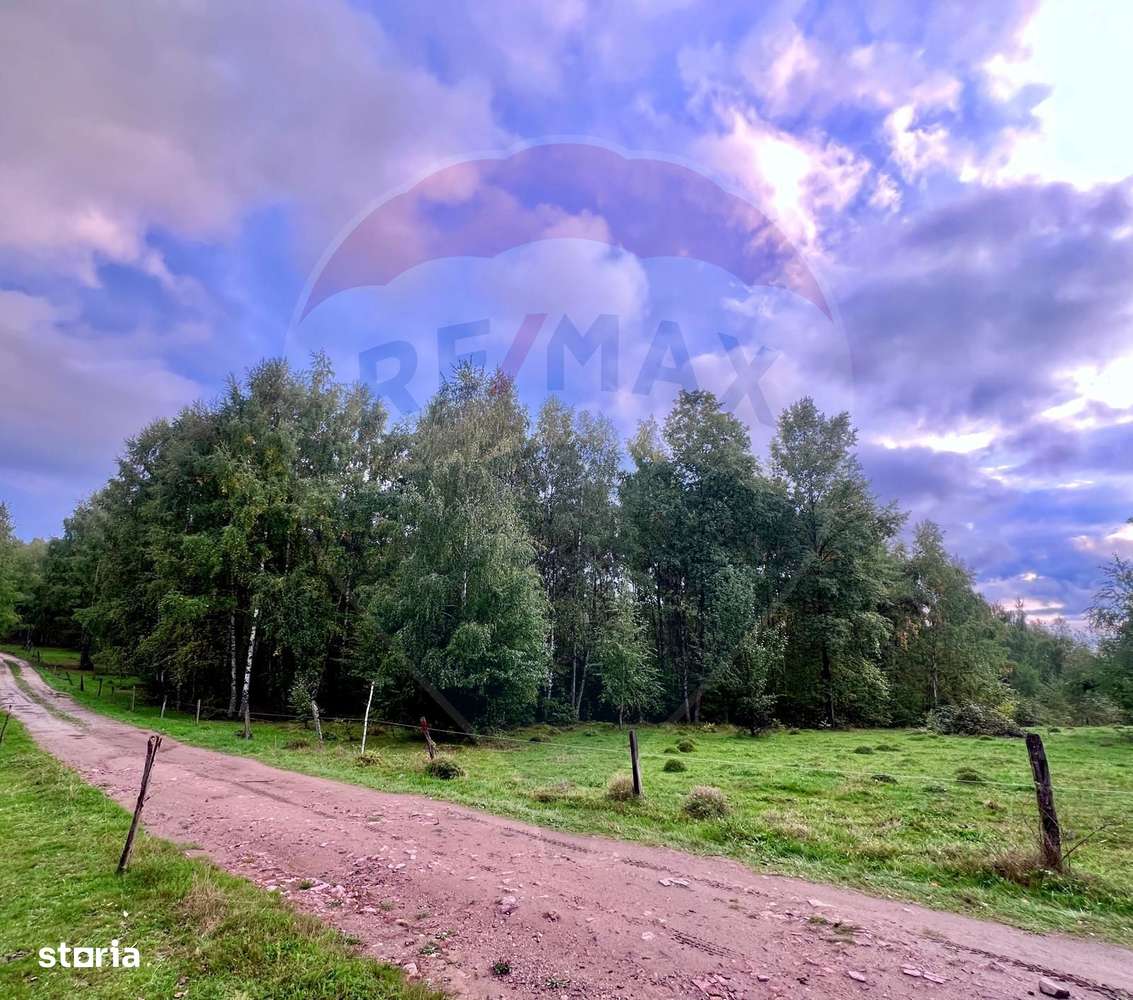 Teren 7,350mp Bulz / Drumul Secundar-1