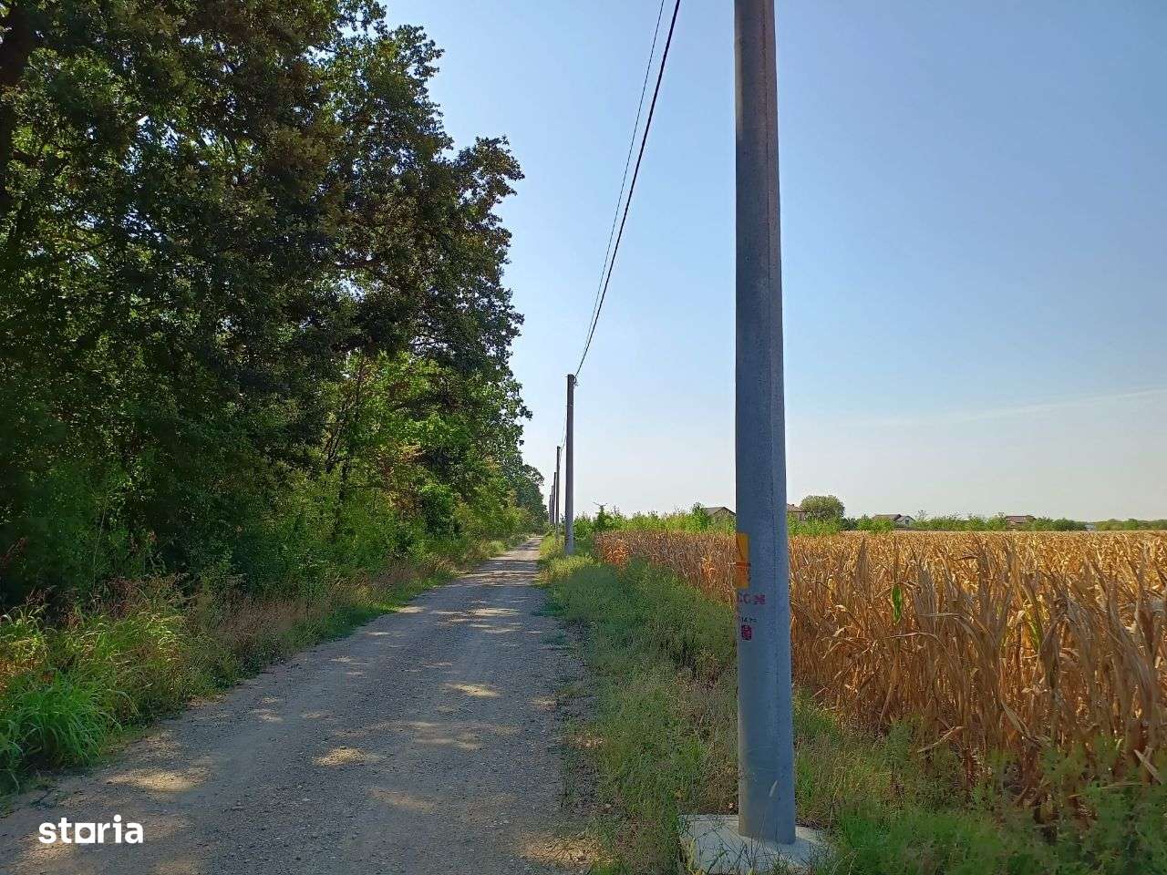 Teren de Vânzare 17.000 mp,Mihai Voda comuna Bolintin Deal-2