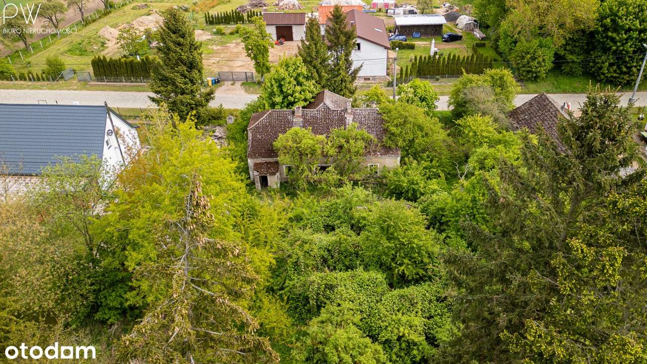 Okazja! Półhektarowa działka z budynkiem 1 km od j - Pełny obrazek: 5/18