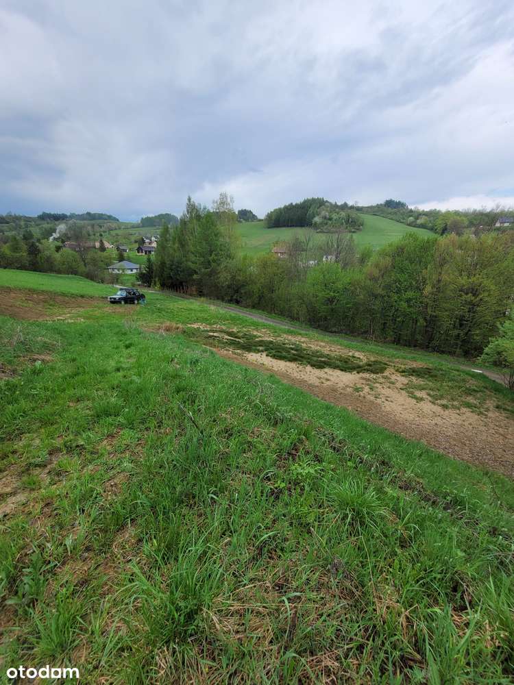 Działka 3034 m² + druga 1159 m² GRATIS warunki zabudowy - Pełny obrazek: 5/5