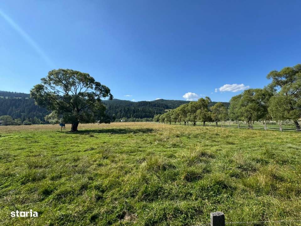 Vanzare 33400 parcelat- 18 loturi - Plaiul Sarului la sosea- microdezv-14