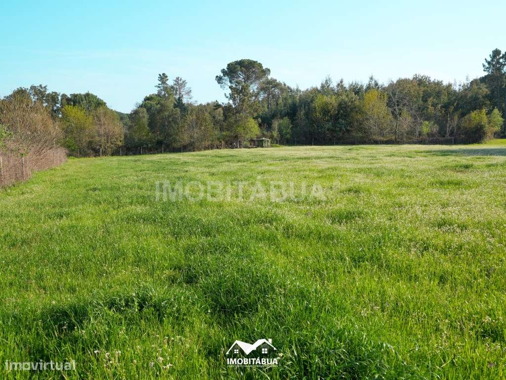 Terreno agrícola com barracão em Candosa - Grande imagem: 3/15