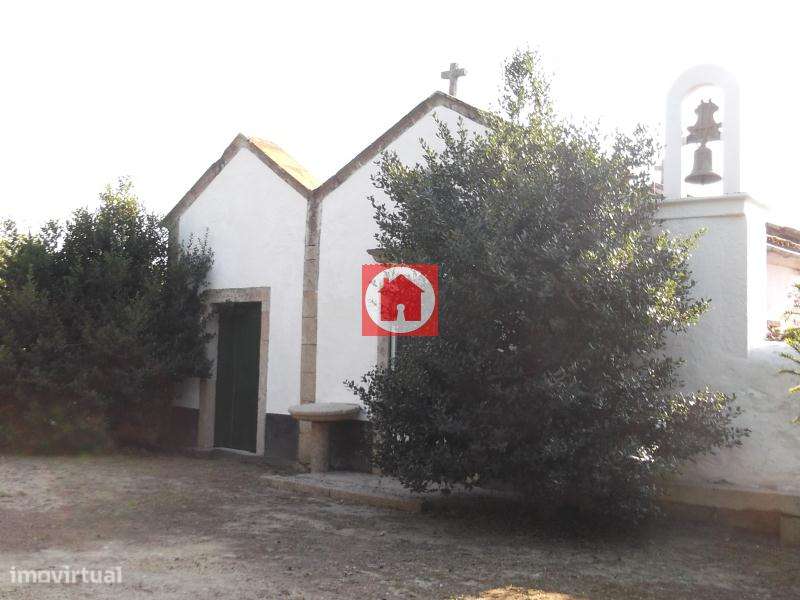 Quinta século XIX com vinhas e bosque em Castelo de Neiva, Viana do... - Grande imagem: 5/17