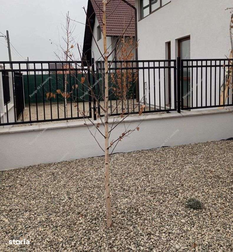 Duplex  4 Camere 250mp Teren| Mosnita Noua-Str Oituz - Imagine principală: 4/20