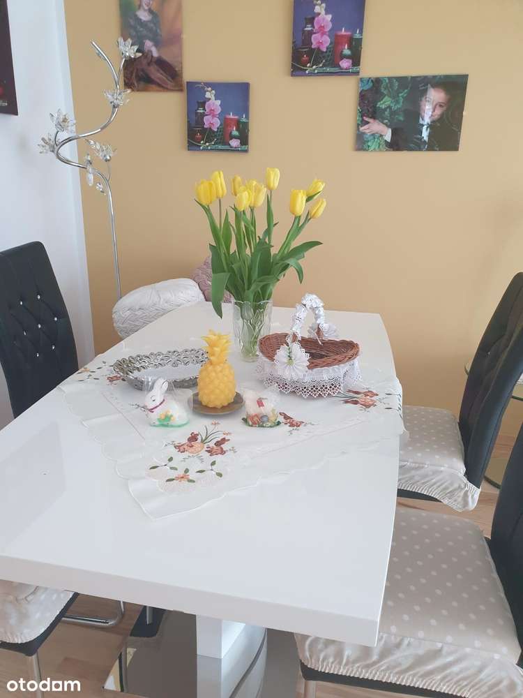 Monitoring ochrona rozkład wysoki standard media miejskie-4