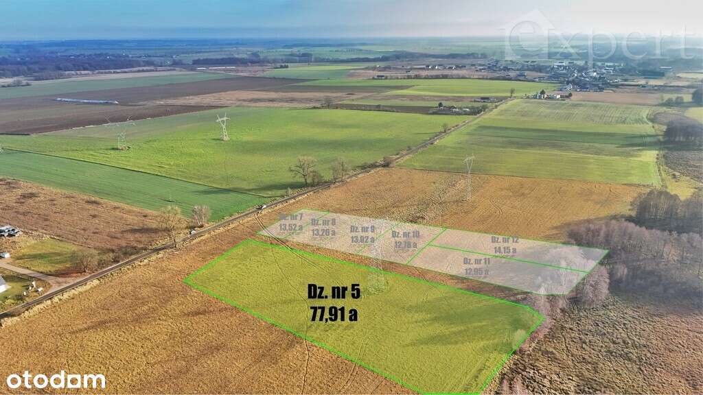 Stargard- Rogowo działka o pow. 7791 m2 - Pełny obrazek: 4/14