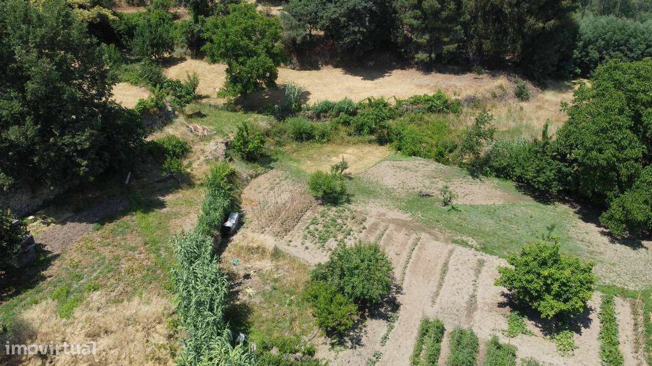 Terreno com 4.522 m² e Viabilidade de Construção - Vila do Carvalho-13