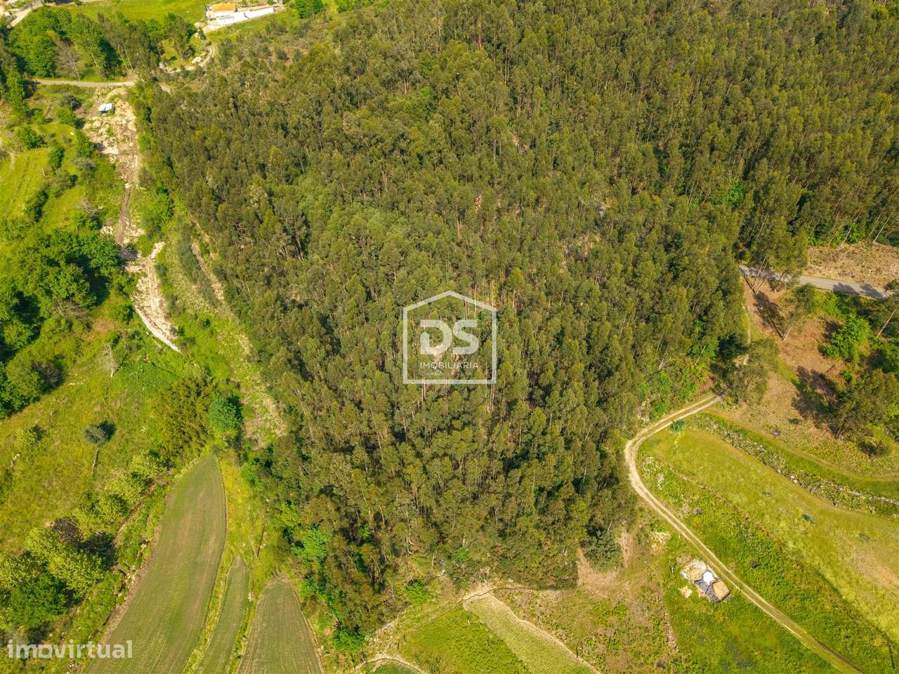 Terreno  Venda em Duas Igrejas,Penafiel-7