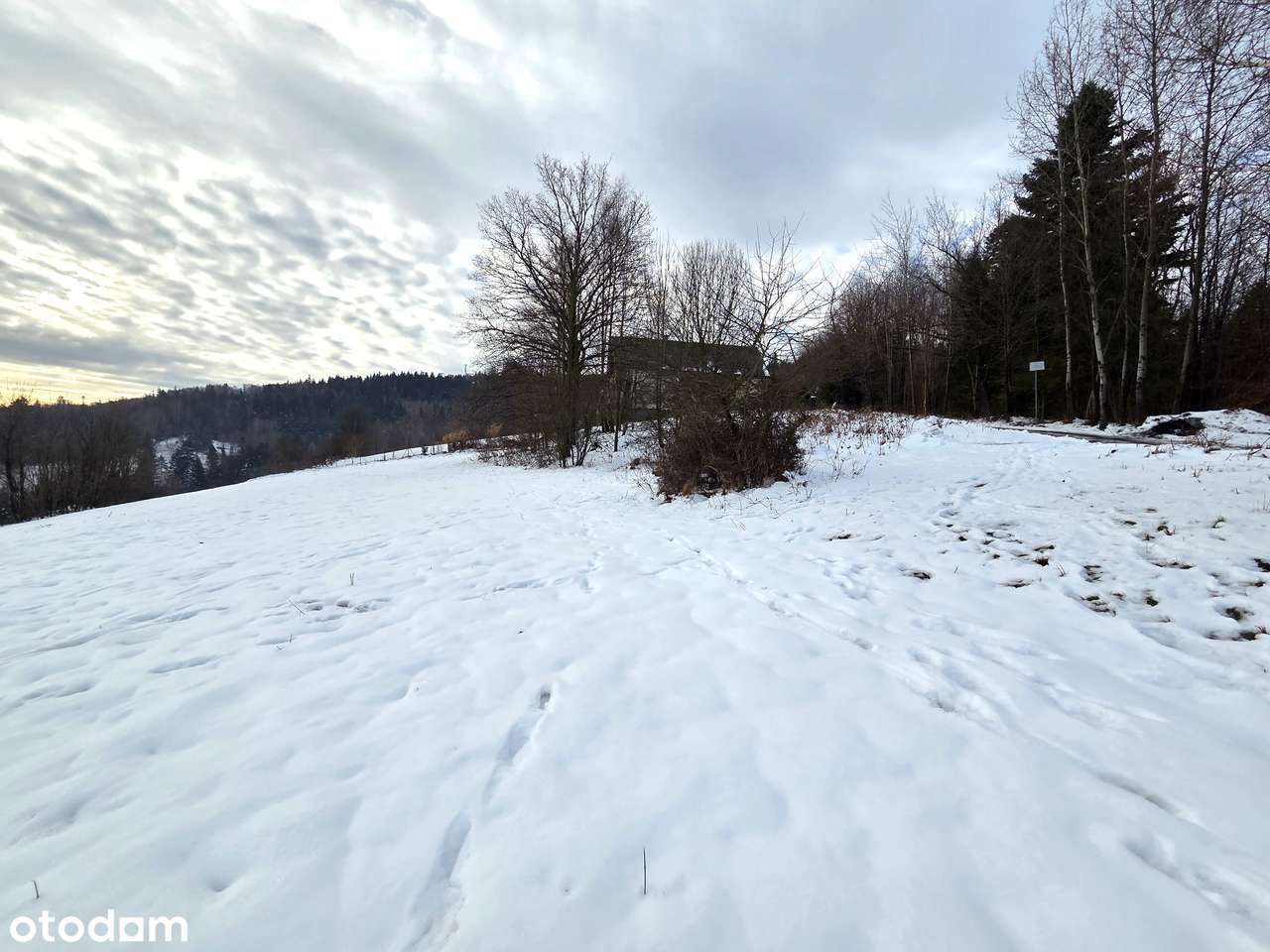 Działka budowlana w Wiśle – widok, słońce i cisza-1